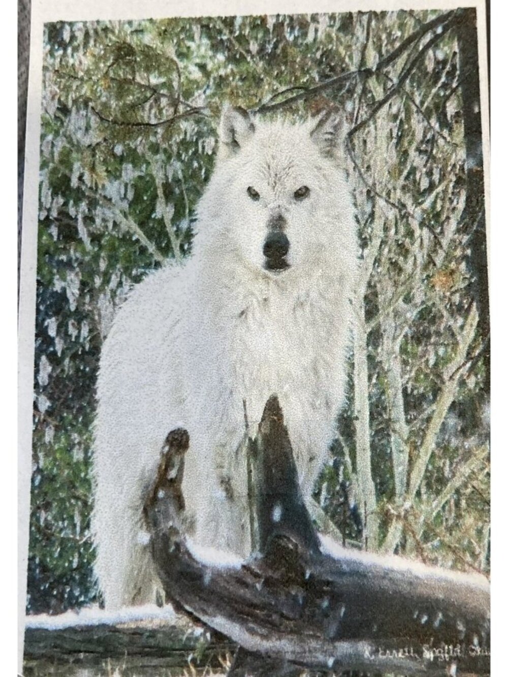 White Wolf Christmas Garden Flag Holiday Party Banner Snow Forest Winter Decor